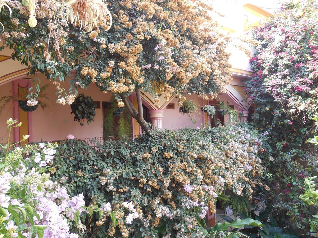 פנחאצ'ל Hotel El Chaparral מראה חיצוני תמונה